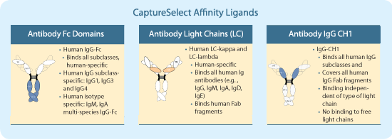 CaptureSelect  Affinity Ligands 
