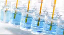 Biosensor photo